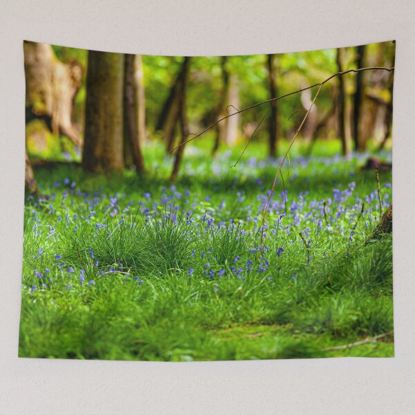 Item preview, Bluebell floor of English woodland designed and sold by Dalyndigital Photography.