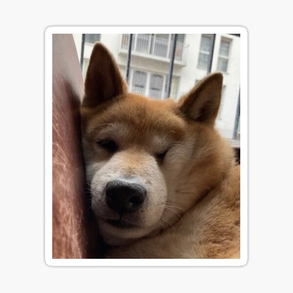 Comfy Maru Sticker