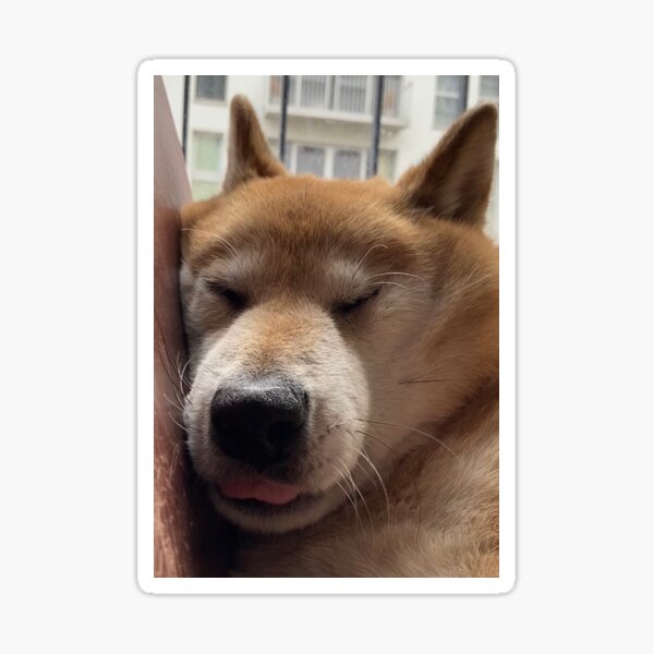 Maru :P Sticker