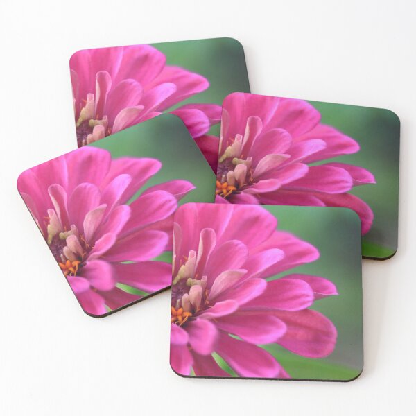 Item preview, Zinnia designed and sold by StampCity.