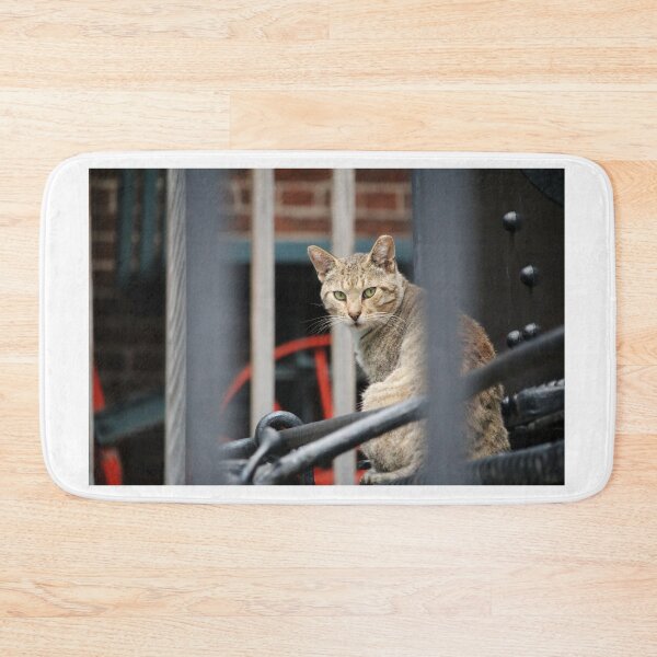 Item preview, Cat On Train Steps designed and sold by Cynthia48.