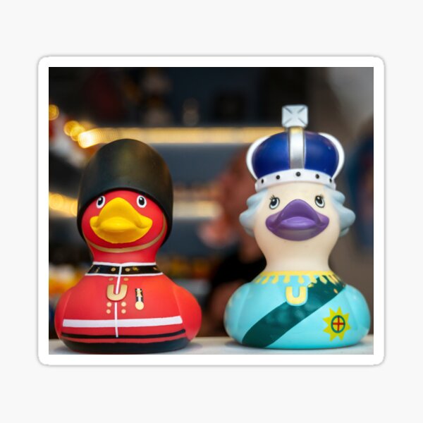 Colourful Rubber Ducks Gifts & Merchandise for Sale