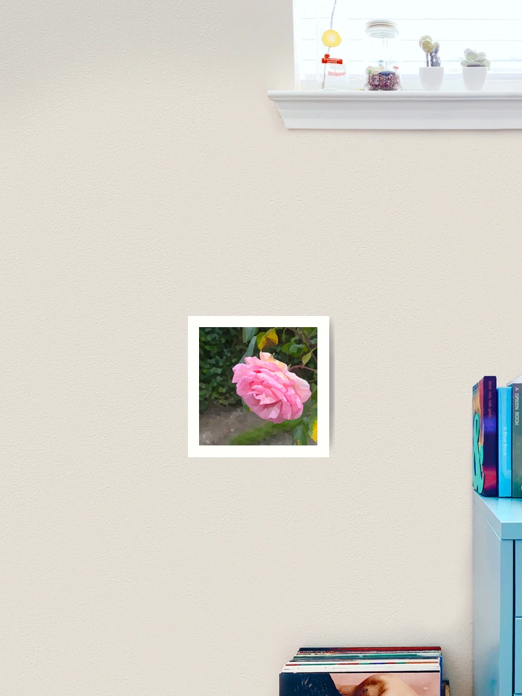 Thumbnail 2 of 3, Art Print, Watercolour Style Pink Roses designed and sold by DesignsofNote.