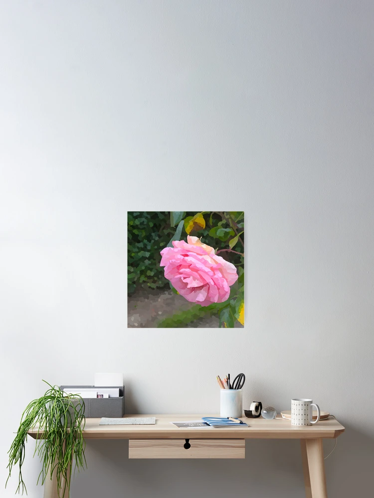 Thumbnail 2 of 3, Poster, Watercolour Style Pink Roses designed and sold by DesignsofNote.