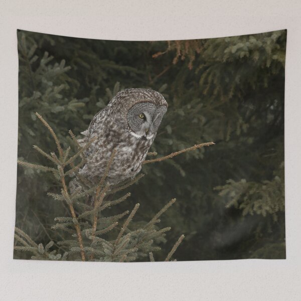 Item preview, Listening for his prey designed and sold by locustgirl.