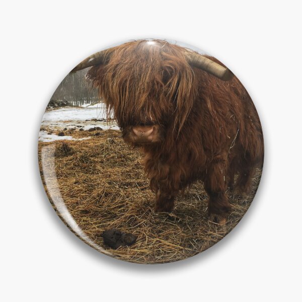 Item preview, Scottish Highland Cattle Cow 2316 designed and sold by SaarelaHighland.