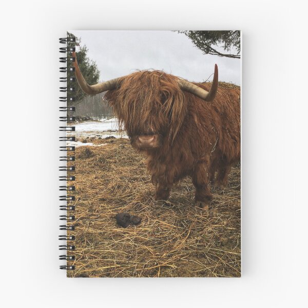 Item preview, Scottish Highland Cattle Cow 2316 designed and sold by SaarelaHighland.