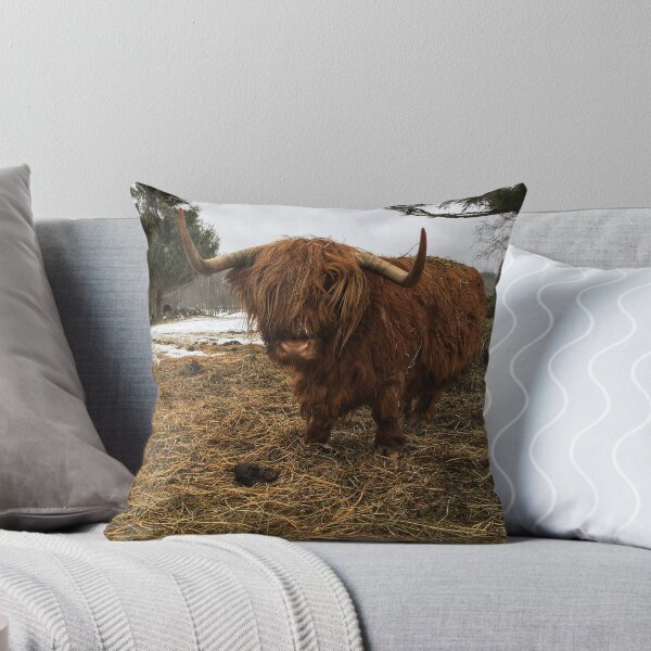Artikelvorschau, Kopie von Kopie von Kopie von Kopie von Kopie von Kopie von Kopie von Kopie von Kopie von Kopie von Scottish Highland Cattle Cow entworfen und verkauft von SaarelaHighland.