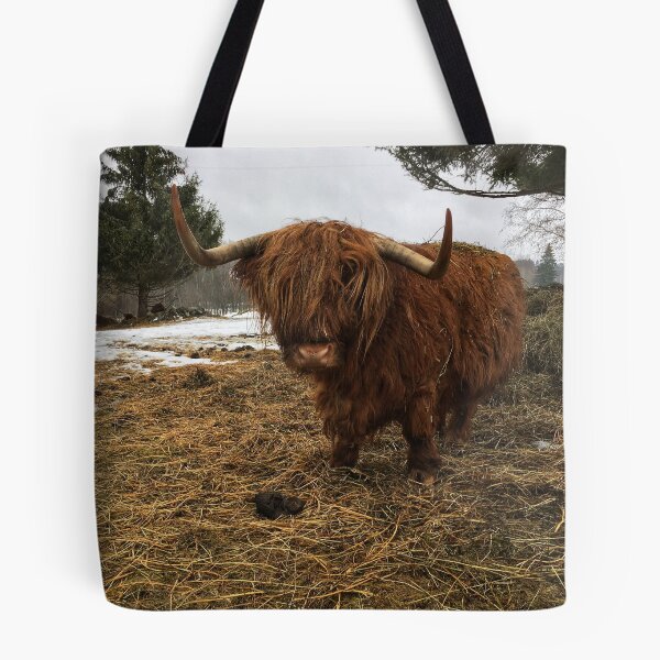 Item preview, Scottish Highland Cattle Cow 2316 designed and sold by SaarelaHighland.
