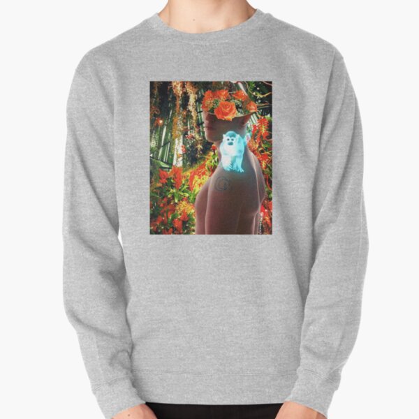 amazon spirits Pullover Sweatshirt