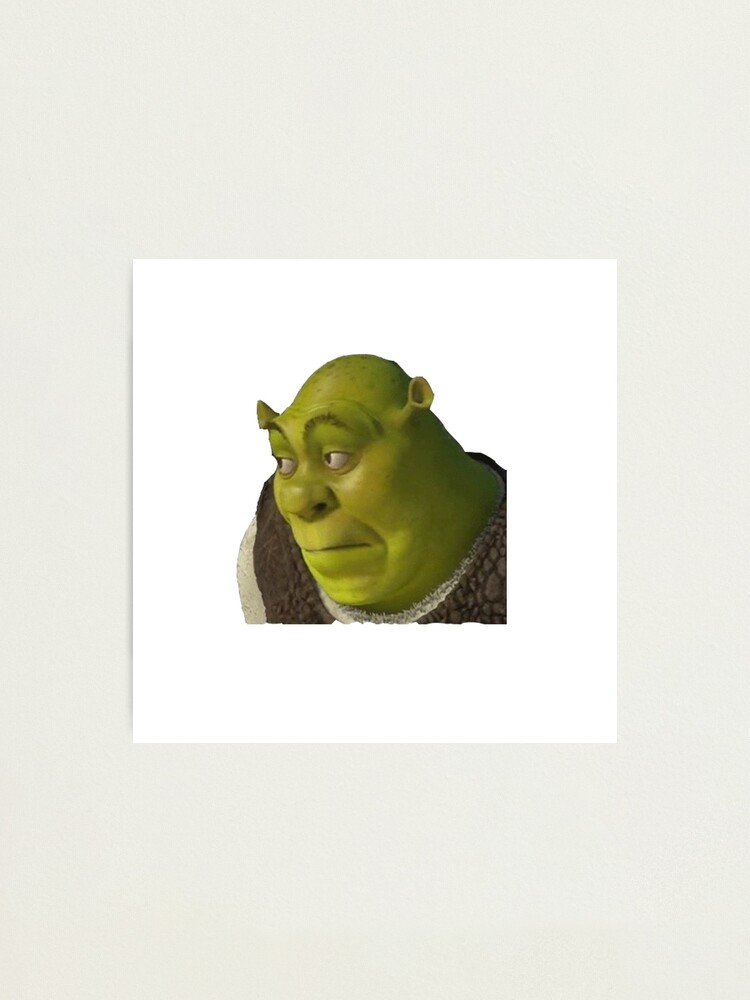 Shrek meme | Photographic Print