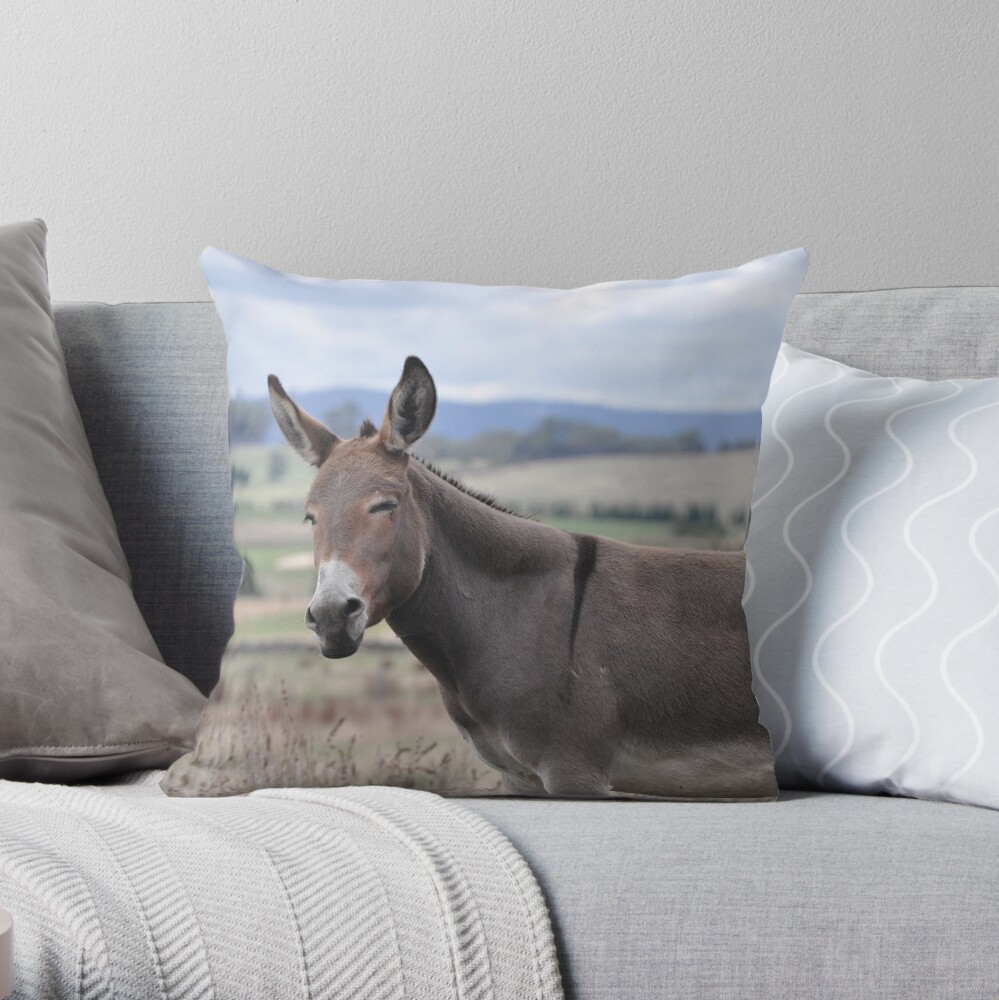 donkey pillow