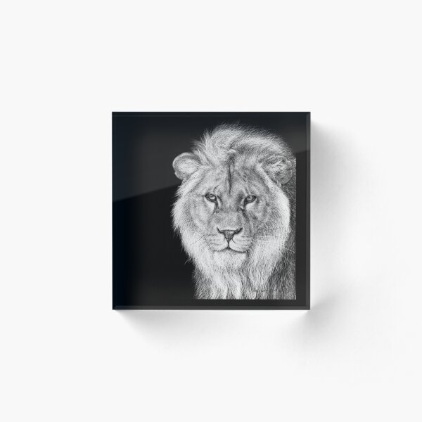 African Lion Black and White Artwork Acrylic Block