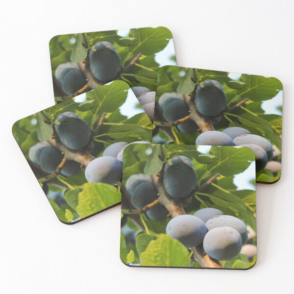 Item preview, Ripe plums among the leaves on the branch designed and sold by Mahirov Shop.