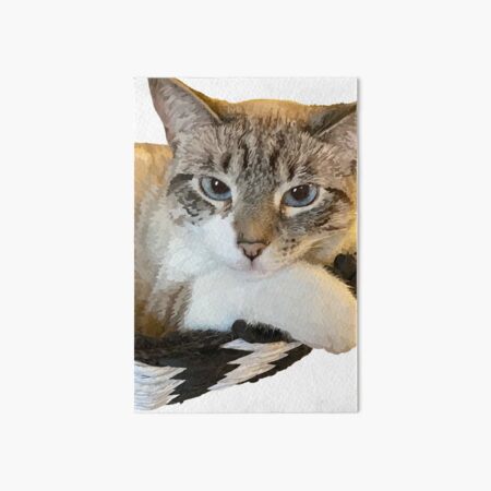Item preview, Cat in a Basket designed and sold by hegdesigns.