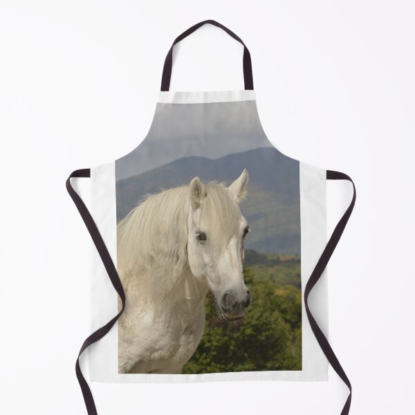 Item preview, Highland pony designed and sold by Dusty Perin.
