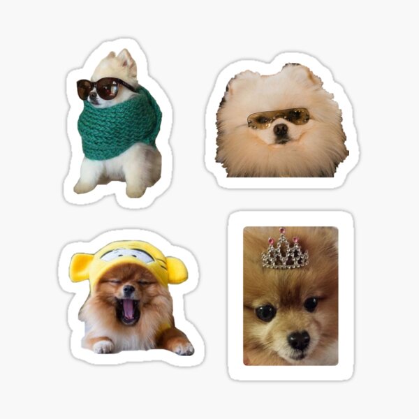 Powerful Pomeranians Sticker Pack Sticker