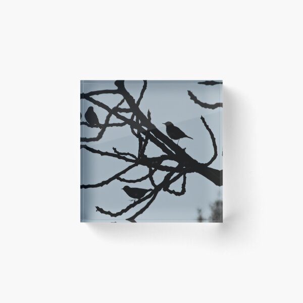 Item preview, Sparrows Birds Tree Bare Branches Silhouette designed and sold by Anna Lemos.
