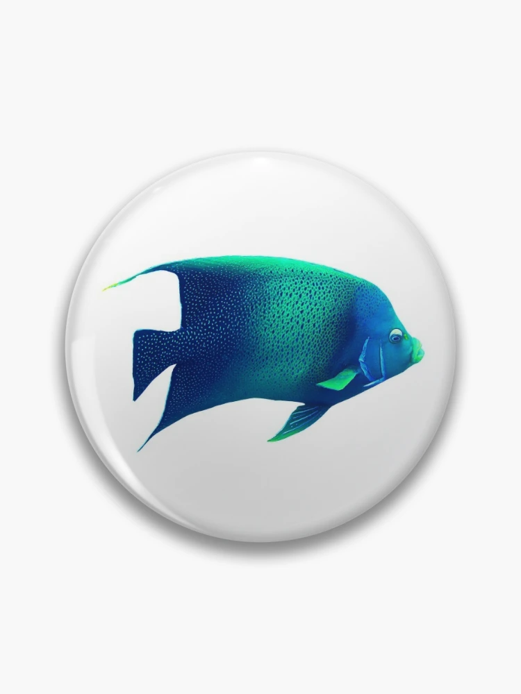 Tropical Blue Salt Water Angel Fish  Pin for Sale by Basonova