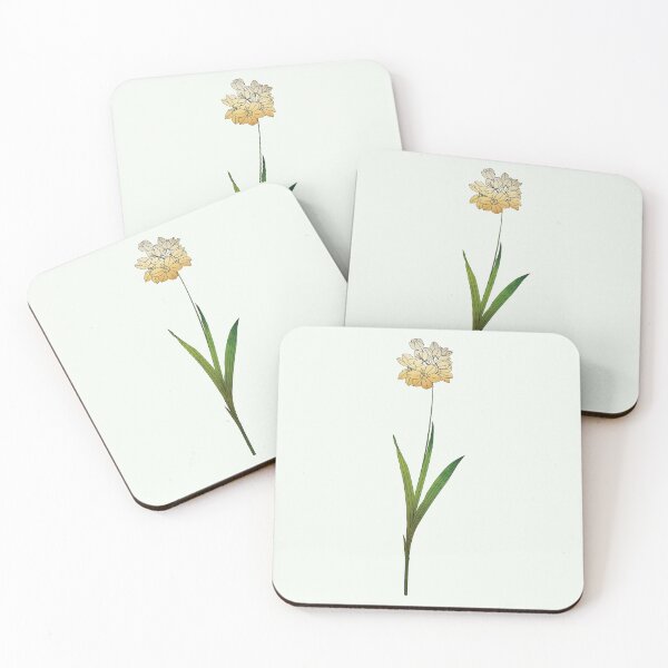 Item preview, Ixia Maculata | African Corn Lily designed and sold by Wallpacas.