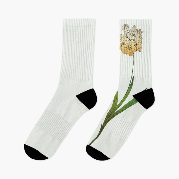 Item preview, Ixia Maculata | African Corn Lily designed and sold by Wallpacas.