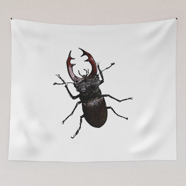 Item preview, Stag beetle vector illustration  designed and sold by ranker666.