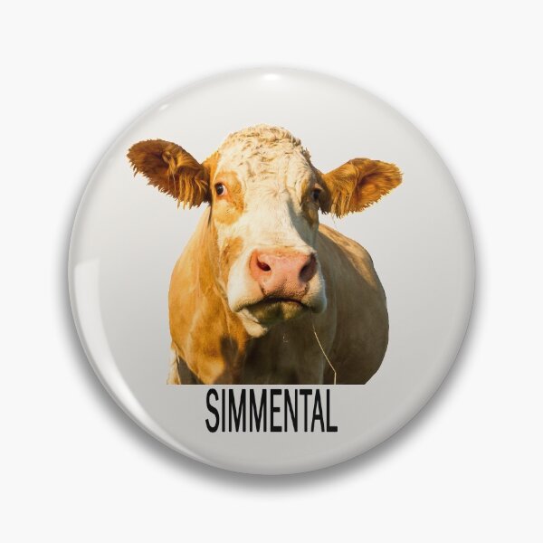 Artikelvorschau, Simmentaler Kuhportrait mit Text entworfen und verkauft von Jane Stanley Photography.
