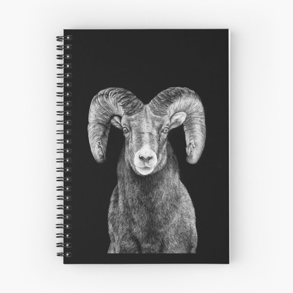 Item preview, Bighorn Sheep Black and White Art designed and sold by MHScratchboard.