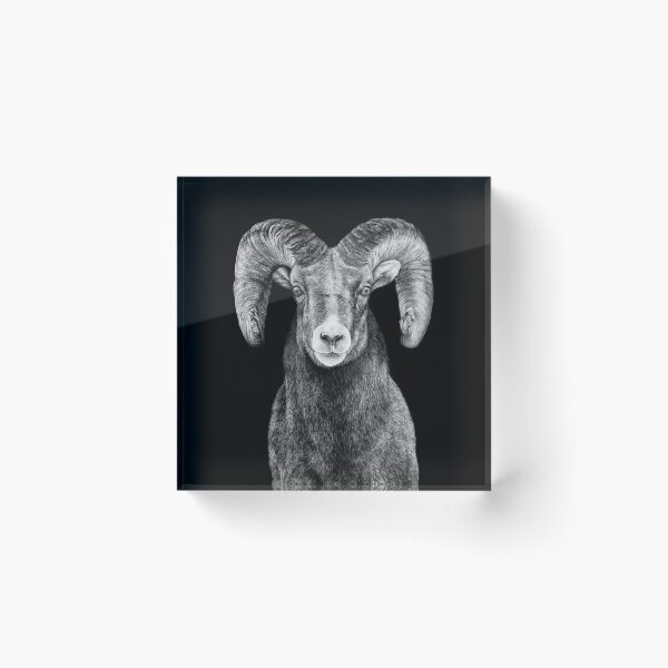 Item preview, Bighorn Sheep Black and White Art designed and sold by MHScratchboard.
