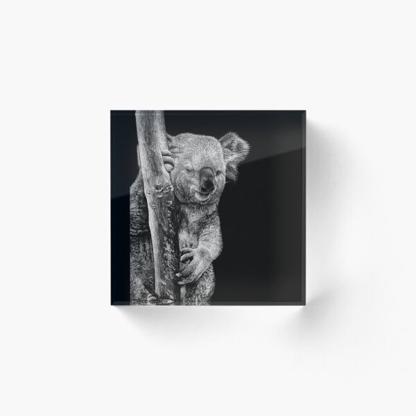 Koala Black and White Art Acrylic Block