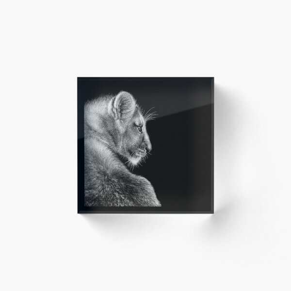African Lion Cub Black and White Art Acrylic Block