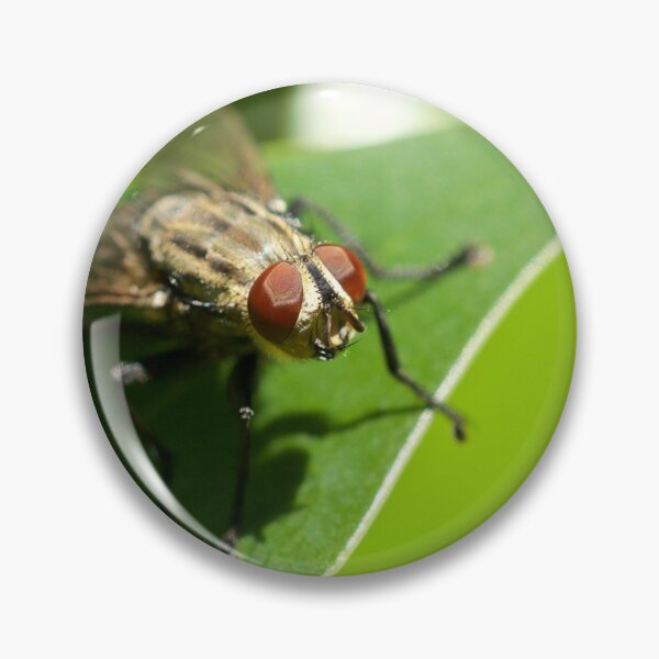 Item preview, Bug Eye designed and sold by D-GaP.