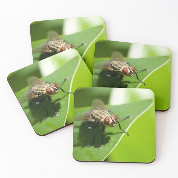Item preview, Bug Eye designed and sold by D-GaP.