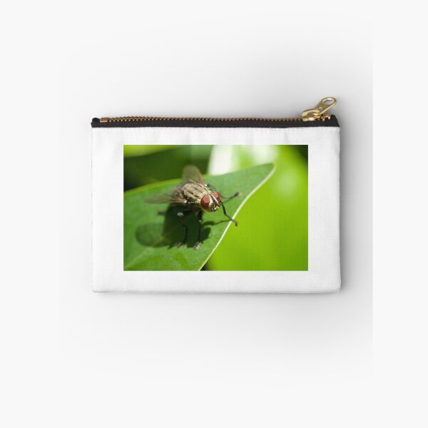 Item preview, Bug Eye designed and sold by D-GaP.