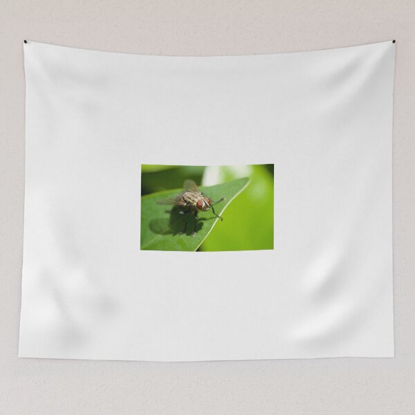 Item preview, Bug Eye designed and sold by D-GaP.