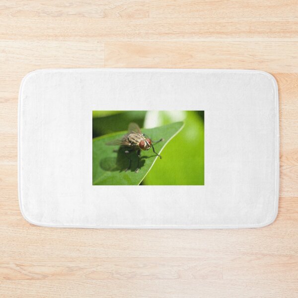 Item preview, Bug Eye designed and sold by D-GaP.