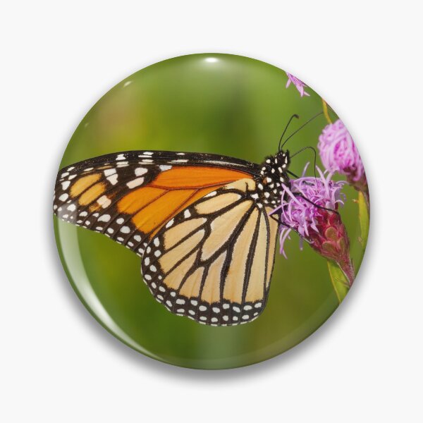 Item preview, Monarch Butterfly 2013-1 designed and sold by Thomasyoung.