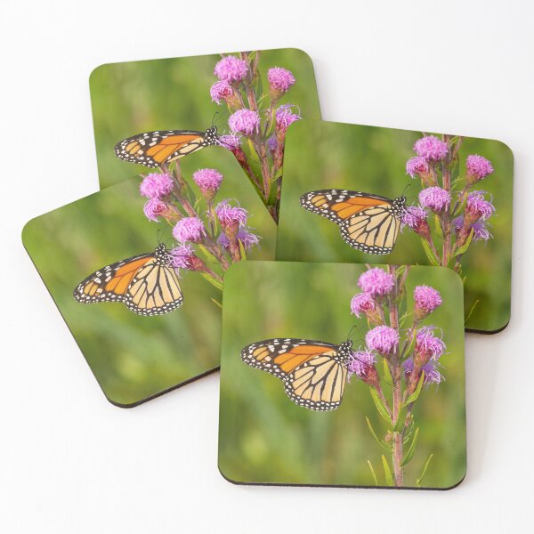 Item preview, Monarch Butterfly 2013-1 designed and sold by Thomasyoung.