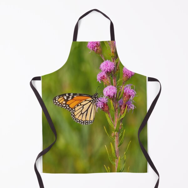 Item preview, Monarch Butterfly 2013-1 designed and sold by Thomasyoung.