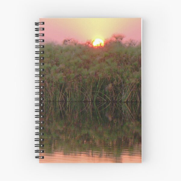 Item preview, Sunset over the papyrus, Okavango Delta, Botswana designed and sold by Margaret  Hyde.