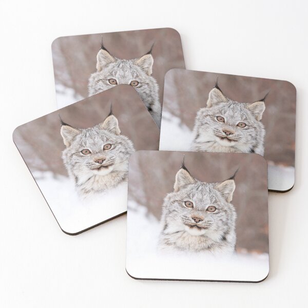Item preview, Lynx Kitten designed and sold by mlorenz.