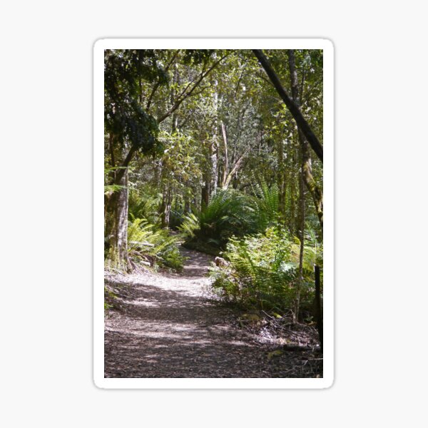 Liffey Falls Walk, Tasmania, Australia 2 Sticker