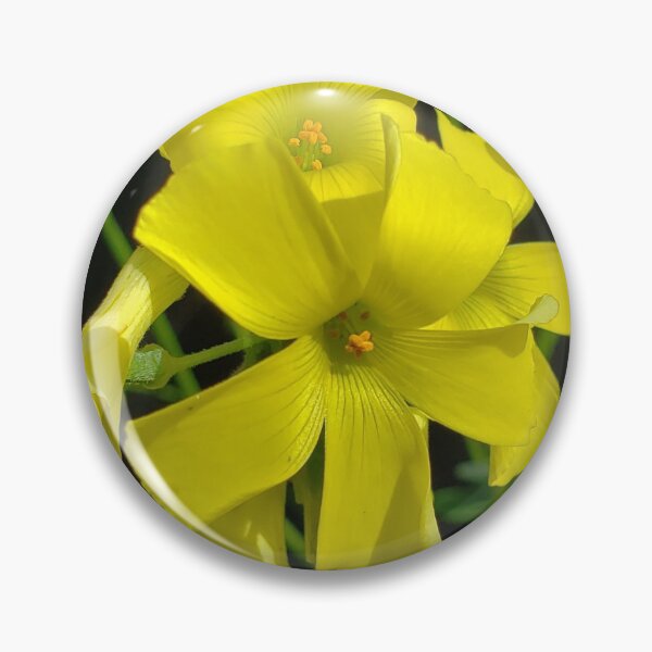 Item preview, Yellow Flowers designed and sold by yurahbom.