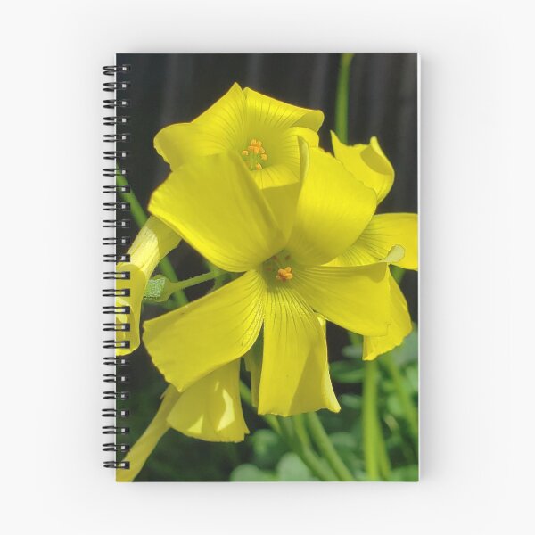Item preview, Yellow Flowers designed and sold by yurahbom.