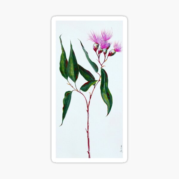 Item preview, Elegance in Pink - Australian Gumnut Flower Stem designed and sold by Krusty.