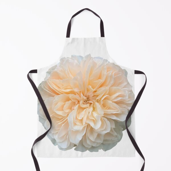 Item preview, Cream Rose Flower Still Life Floral Photography designed and sold by CottoVerdi.
