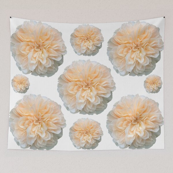 Item preview, Cream Rose Flower Still Life Floral Photography designed and sold by CottoVerdi.