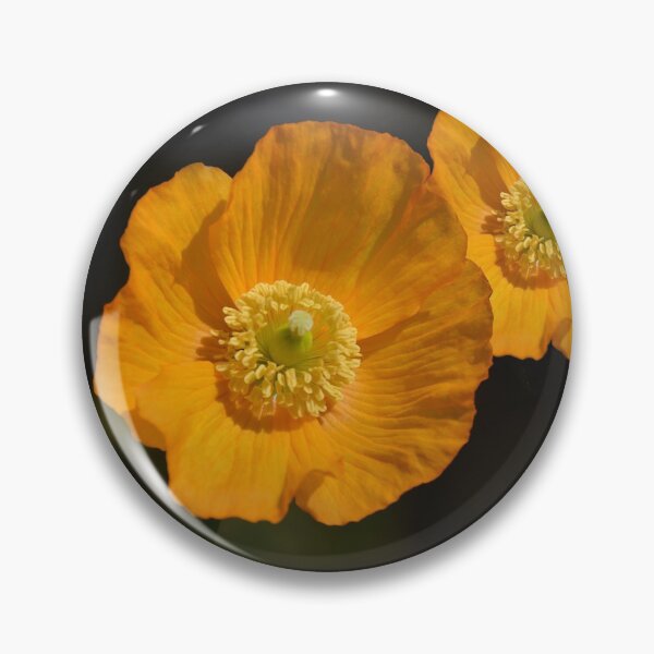 Artikelvorschau, Orange Mohnblume entworfen und verkauft von walstraasart.