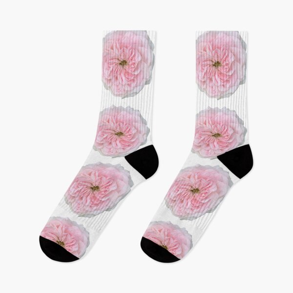 Item preview, Pink Rose Flower Still Life Floral Photography designed and sold by CottoVerdi.