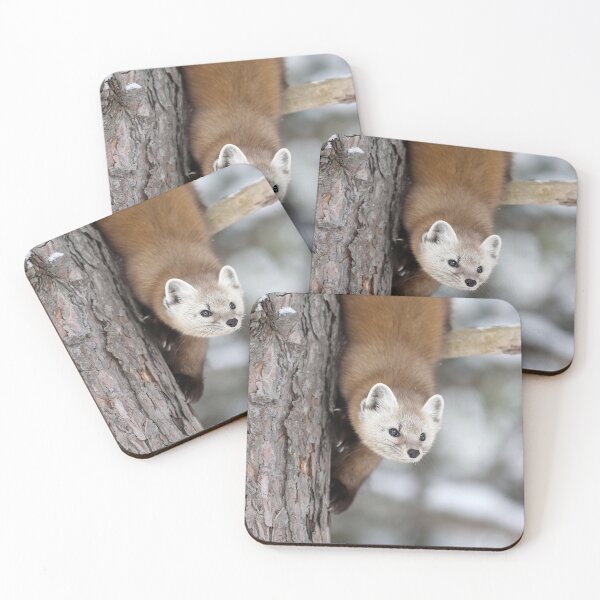 Item preview, American Marten designed and sold by mlorenz.